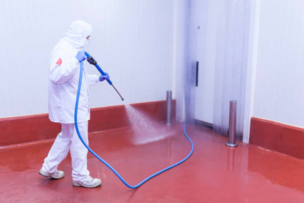 Best Winterizing Services  in Versailles, MO